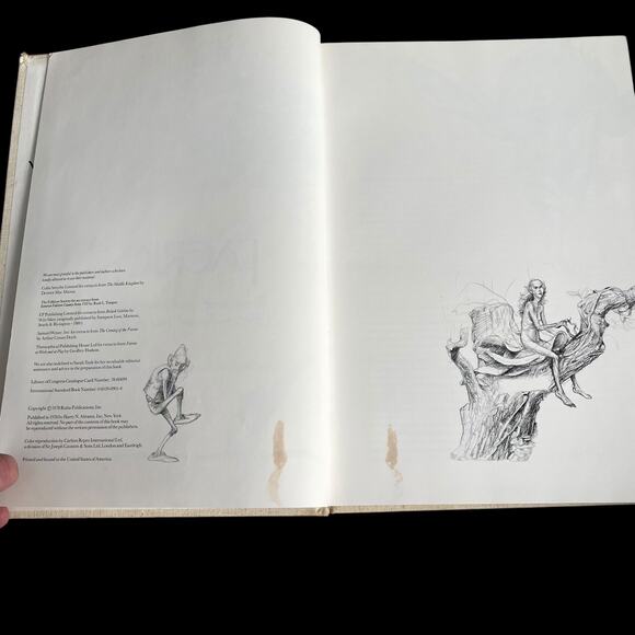 Vintage Faeries Book Hardcover 1978 Graphic Art Brian Froud No Dust Jacket READ - Picture 11 of 16